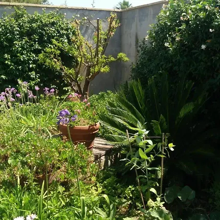 Familiale, Montpellier, Piscine, Parking, 15min Plages Villa